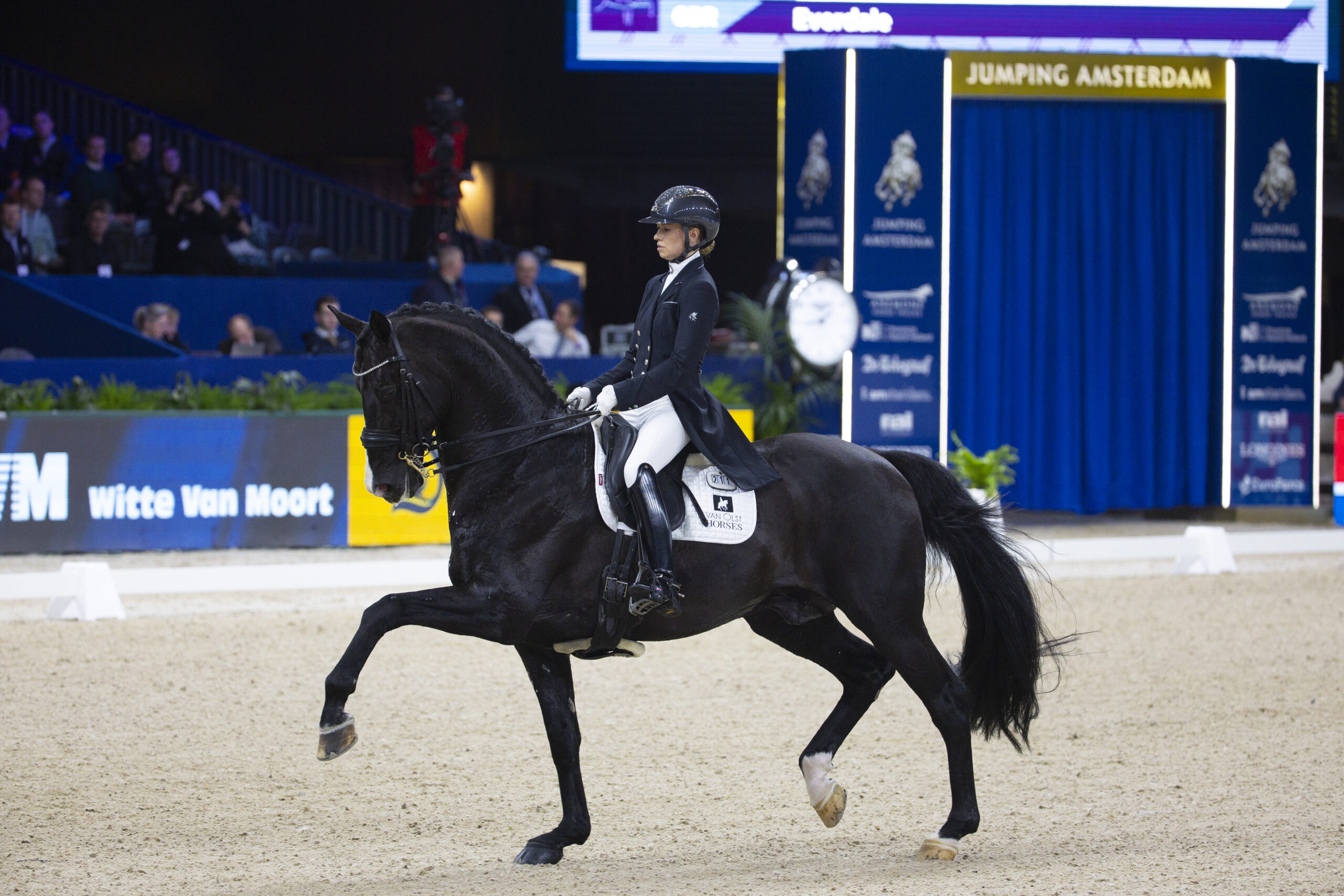 For these reasons, horseback riding is a full-body workout
